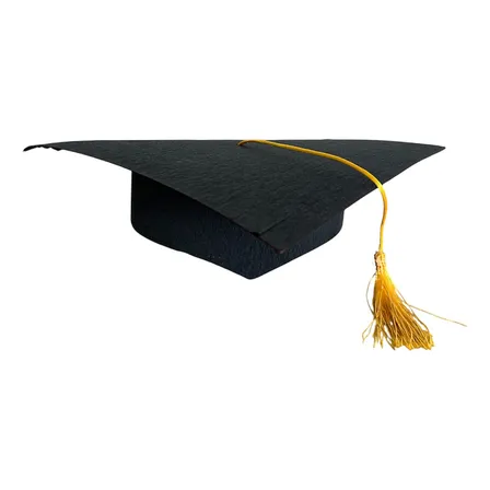 Birretes De Graduación Negro