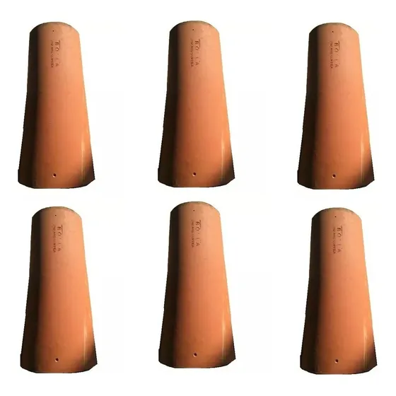10 Tejas Colonial Nuevas