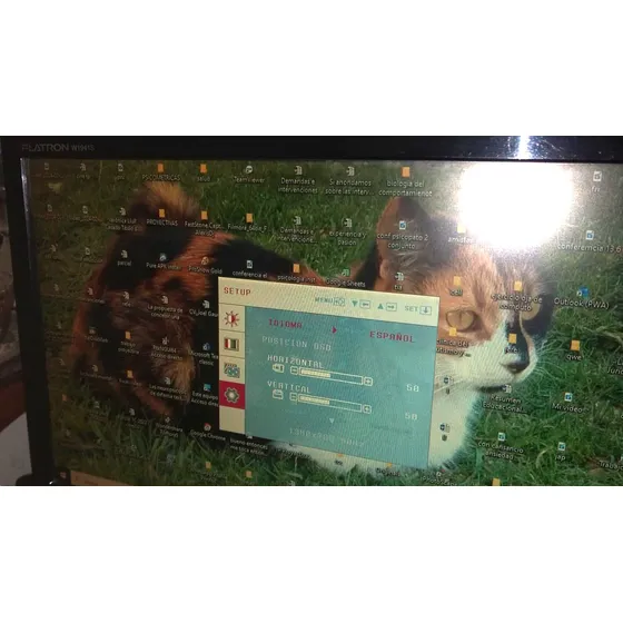 Monitor LG Flatron W1941s  Pf  19 Pulgadas Sirve Camaras