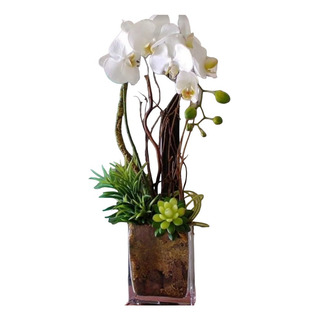 Orquídea Artificial De Tacto Natural Y Suculentas. Orquídea Artificial De Tacto Natural Y Suculentas.