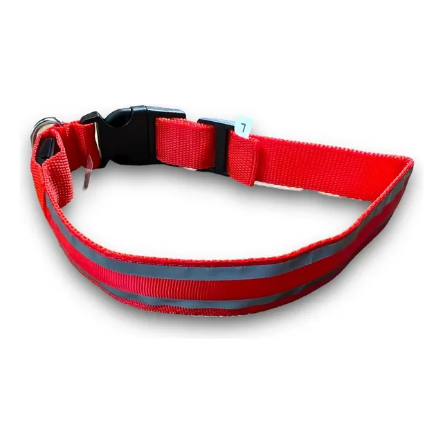 Collar Para Perros Con Cinta Reflectante Y Luz Led