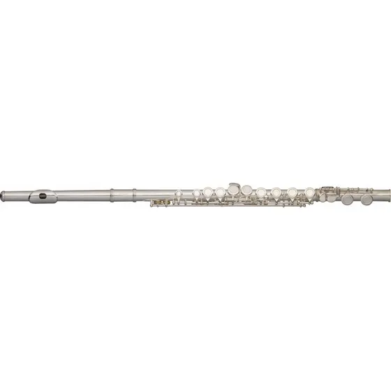 Stagg Ws-fl111 Flauta Traversa En C 16 Llaves C/ Estuche