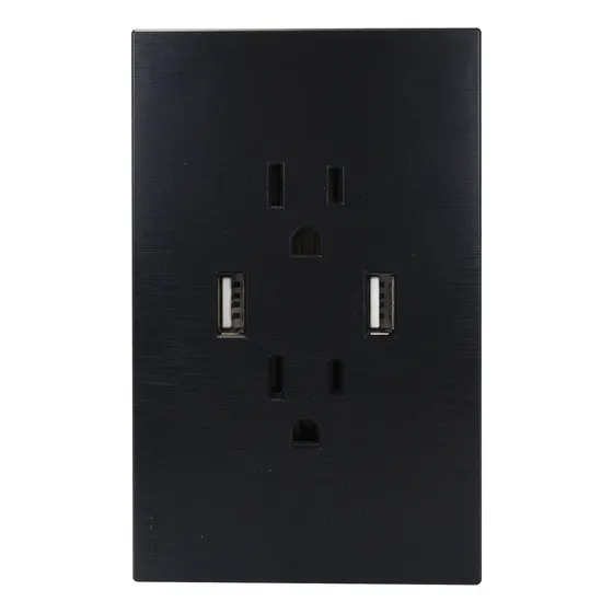 Placa Lucek Flat 2 Contactos  2 Usb Negra
