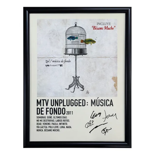Cuadro Zoe Mtv Unplugged Music Album C/marco 40x30
