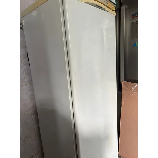 Freezer Brastemp Frost Free 260 110 Volts Usado