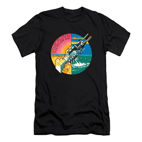 Camiseta Rock Clasico Pink Floyd