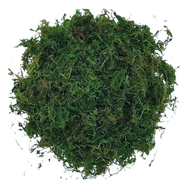 Musgo Verde Desidratada Decoração Arranjo Flores Artificiais