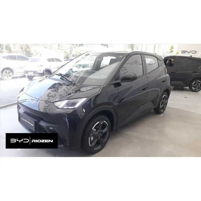 Byd Dolphin Mini 38 Kw Elétrico