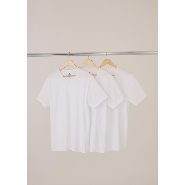 Kit Com 3 Camisetas Masculinas Básicas Hering