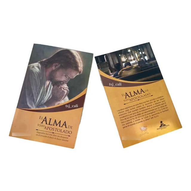 El Alma De Todo Apostolado, De Lam. Editorial Madre De Dios (lazos De Amor Mariano), Tapa Blanda, Edición Primera Edición 2015 En Español, 2015