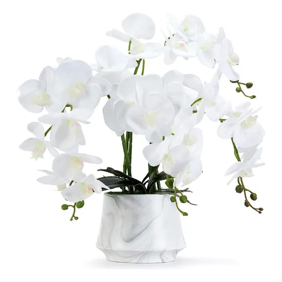 Orquídea Artificial Flores Falsas Orquídea Phalaenopsis De