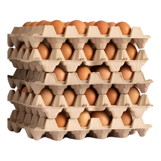 Caja De Huevos Extra Color 100 Unidades