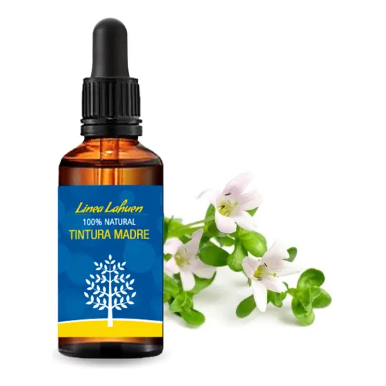 Tintura Madre Bacopa Monniera 50ml