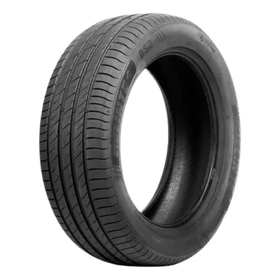 Pneu Delinte Aro 22 285/40r22 110w Ds2