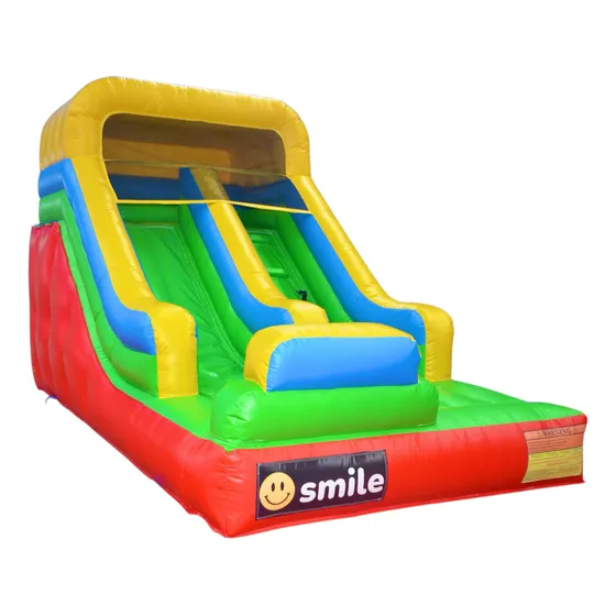 Juego Inflable Mini Tobogán Pro 5x2,5m