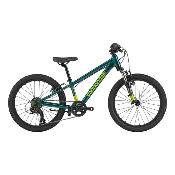 Bicicleta Ciclismo Kids Trail 20 - World Bikes