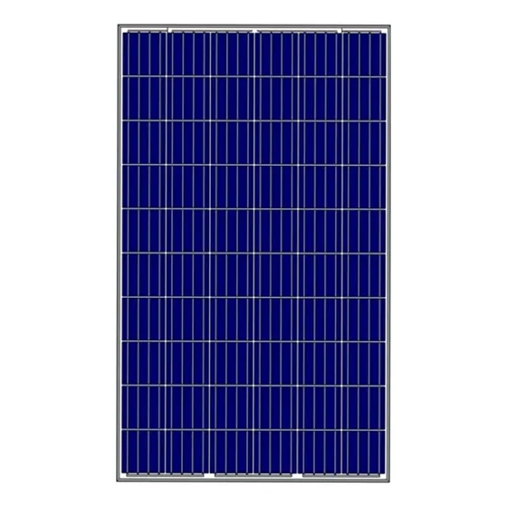 Panel Solar Policristalinos 160w Con Perc 12v 36 Celdas