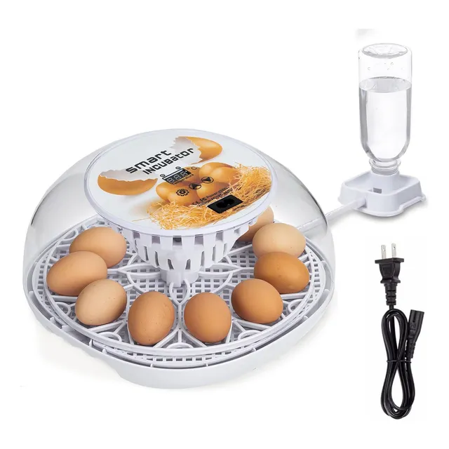 Incubadora De Huevos Con Volteo Automático De Huevos