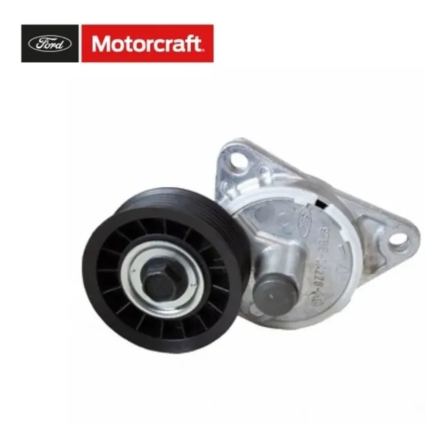 Tensor Correa Única Focus Zetec 2.0 L