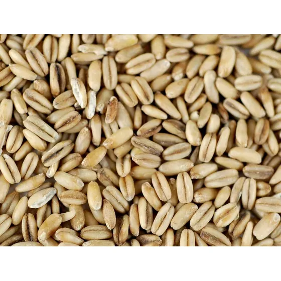 Avena Integral En Grano 1 Kilo