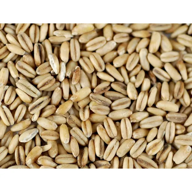 Avena Integral En Grano 1 Kilo