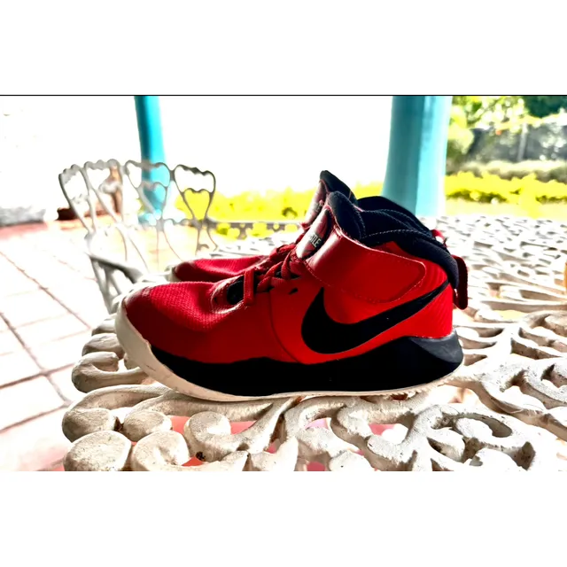 Zapatos Nike Team Hustle D9