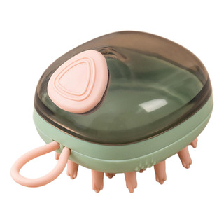 Cepillo Para Champú Para El Cabello Cepillo Compatible Con Cepillo Para Champú Para El Cabello Cepillo Compatible Con