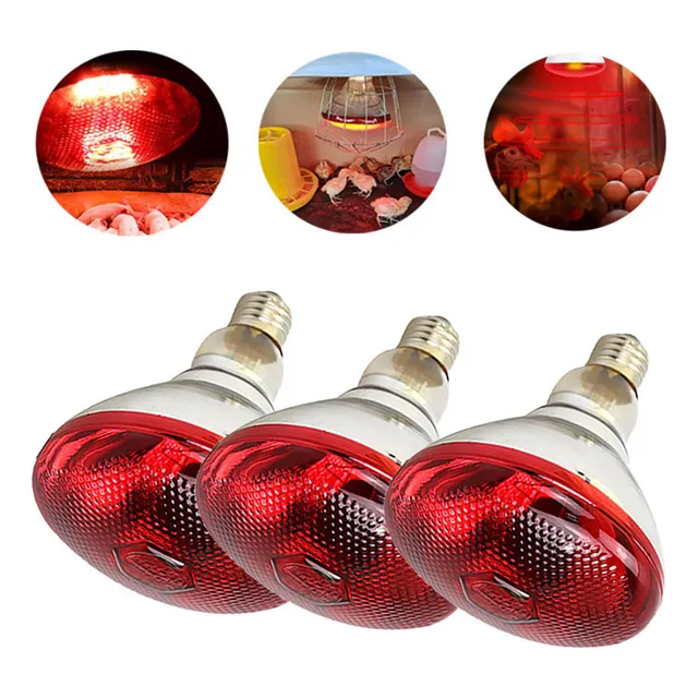 3 Bombillas Calefactoras For Aves De Corral De 200 W For M