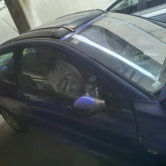 Peugeot 206 2001 1.6 Xs