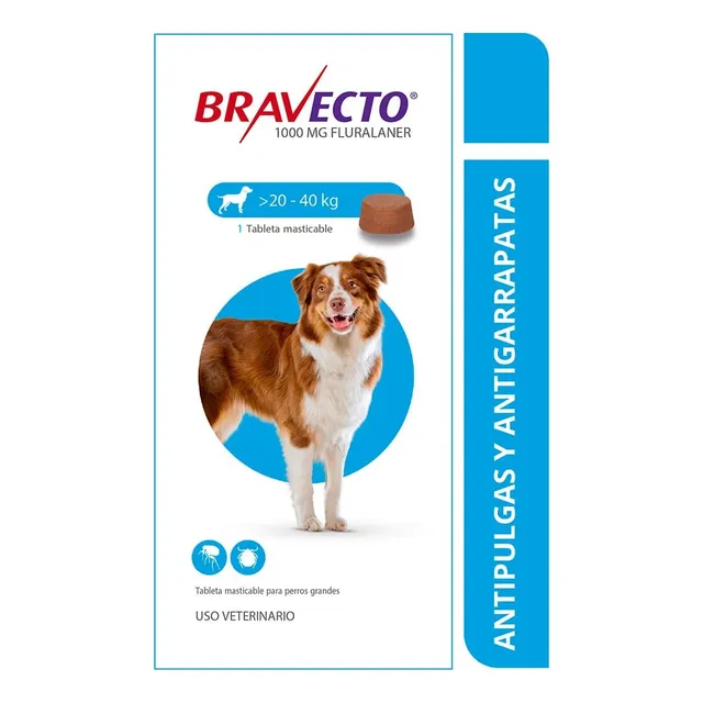 Pastillas Bravecto Antigarrapatas Perros De 20-40 Kgs