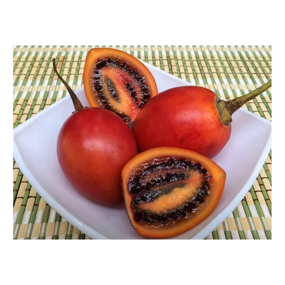 40 Semillas Tomate  Arboreo Andino 