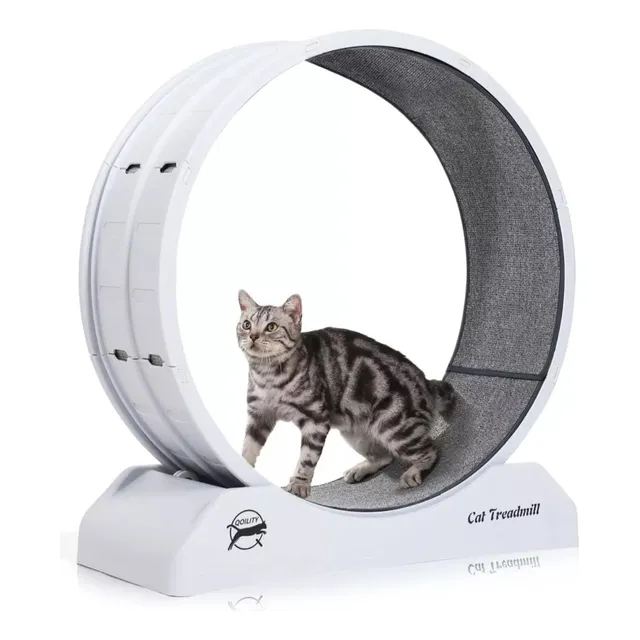 Rueda De Ejercicos Para Gatos - Rueda Entrenamiento Xl 80cm 