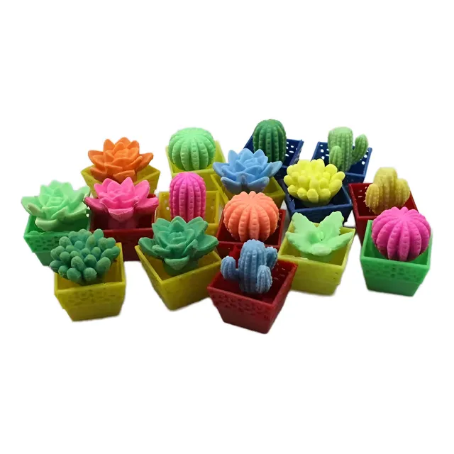 Cactus X24 Crecen Con El Agua Plantas Juego Aprender X Mayor