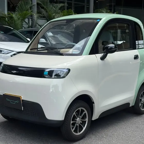 Raysince A05 2025 0.0 Ev