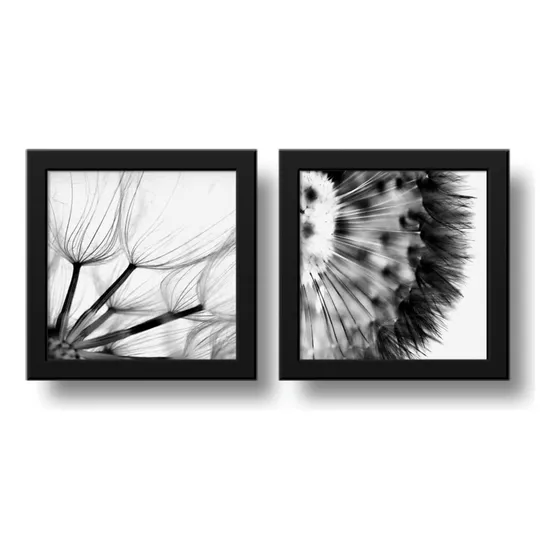 Set 2 Cuadros Flor Diente De Leon Taraxacum B/n 33x33cm Marco Negro