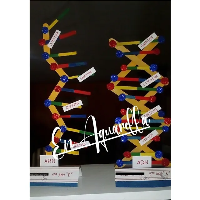 Trabajo Escolar, Laminas Exposición, Diapositivas, Triptico