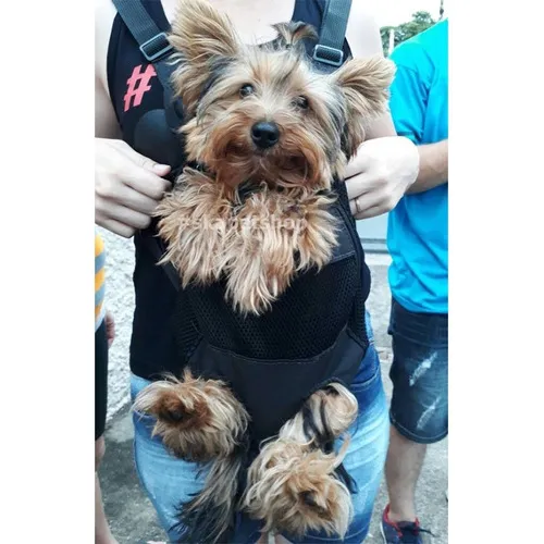 Mochila Canguru Cães Bolsa Transporte Cachorros Petshop Pp-g Cor Preto Tamanho M
