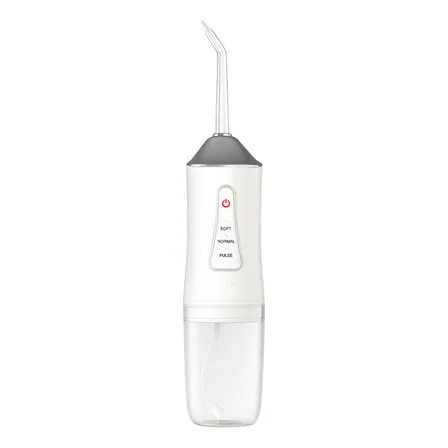 Irrigador Oral Recarregável E Portátil 4 Bicos E 3 Modos