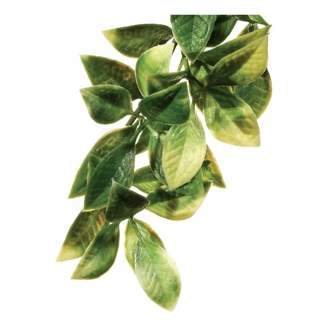Exoterra Planta Decoracion Reptiles Para Terrarios Large