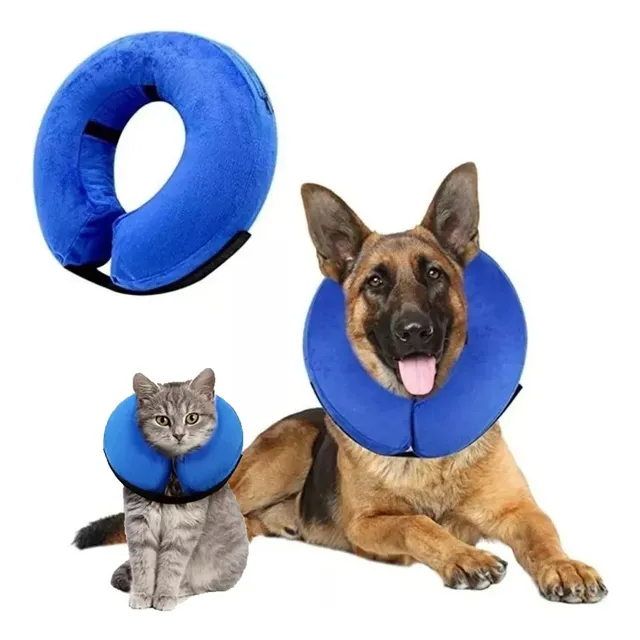 Collar Isabelino Para Perro Gato Inflable Talles Xl Color Azul Azul