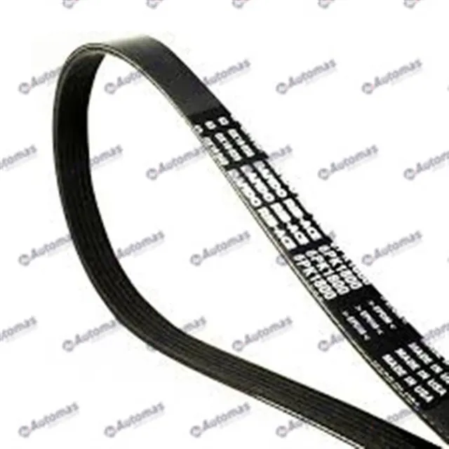 Faja Unica De Accesorios   Peugeot 206 2004 -  2023