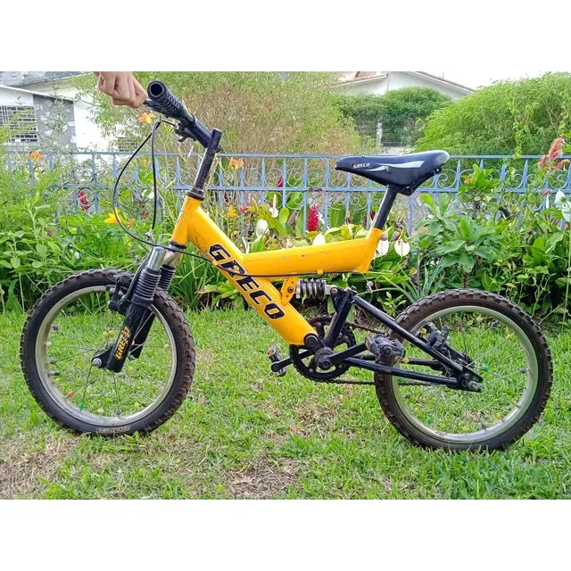 Bicicleta Rin 16 Para Niños O Niñas