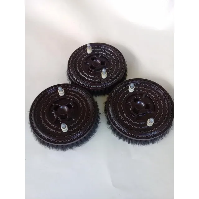 Cepillos Para Pulidora Electrolux Doméstica