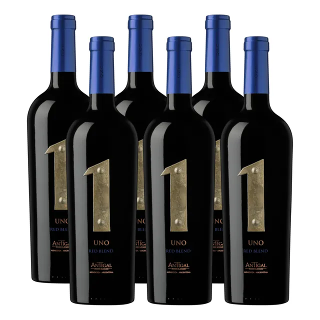 Vino Tinto Uno Red Blend 6x750ml - Bodega Antigal