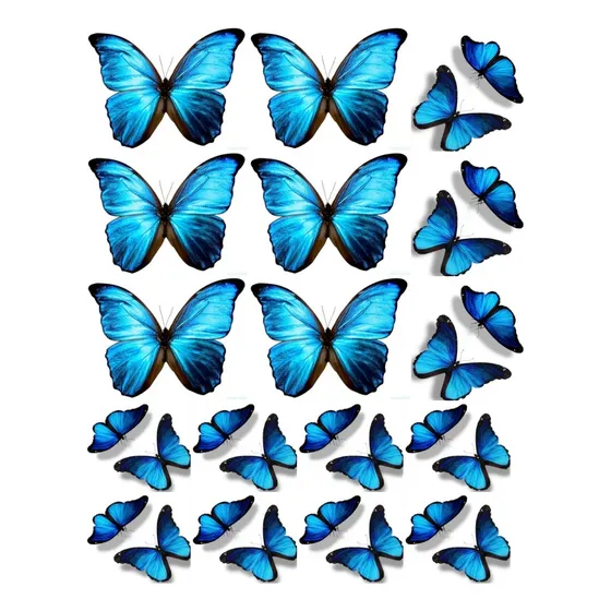 Lamina Comestible Fototorta Mariposa Azul Fotos Comestibles