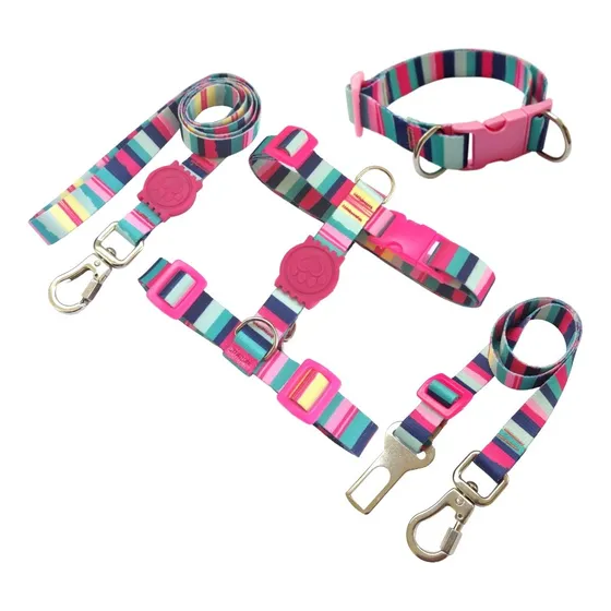 Kit Coleira Peitoral H Guia Cinto Lulu Da Pomerânea Rosa