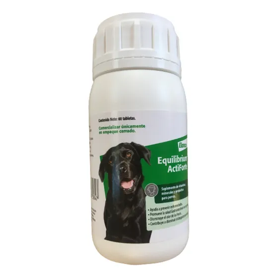 Equilibrium Actiforte