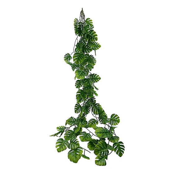 Planta Colgante Esqueleto De Caballo