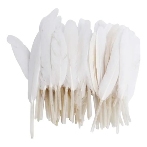Pack 24 Plumas Blancas 15-18 Cm