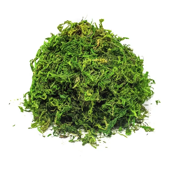 Musgo Artificial P/ Arranjos E Jardins 1 Litro